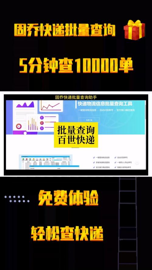 百世快单如何查询运单号