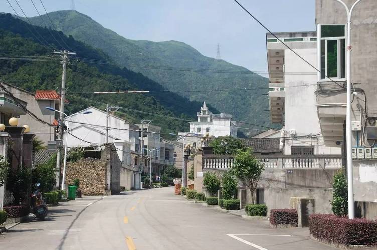 为什么温州市丽岙下呈