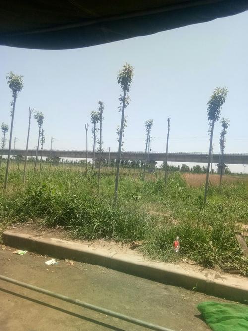 大济路为什么叫大济路