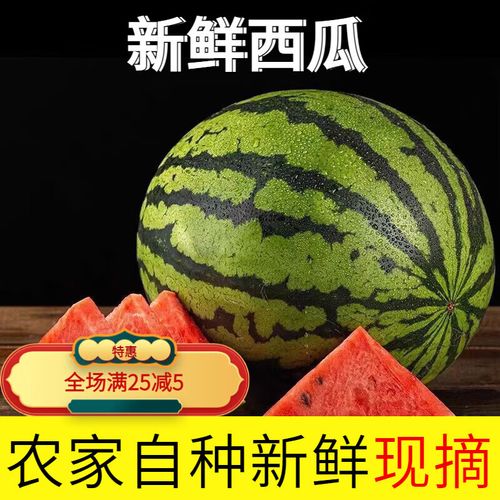 太和县郭庙为什么设镇