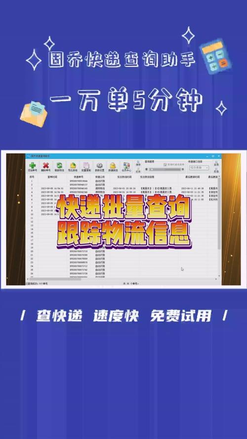 第一物流网如何查下单