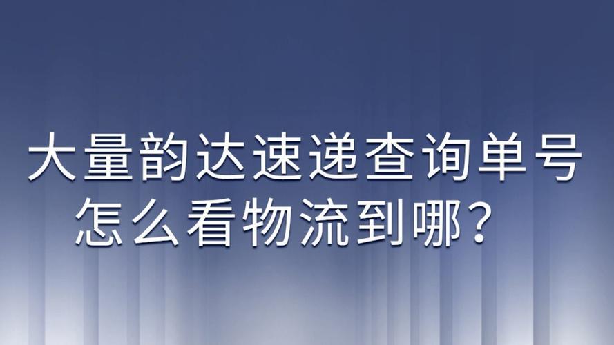 韵达包裹怎么查