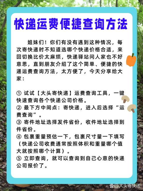 怎么查快递运单费用