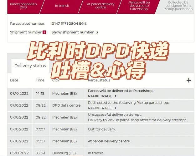 bse怎么看单号