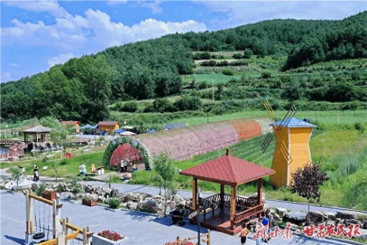 宜阳花山村怎么去