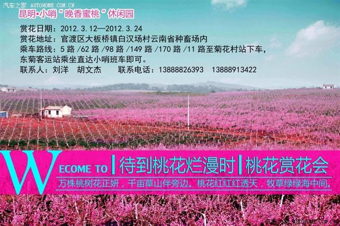 大板桥镇如何去小哨村
