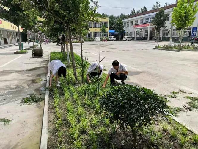 鹿邑试量镇卫生院如何