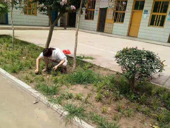 鹿邑试量镇卫生院如何