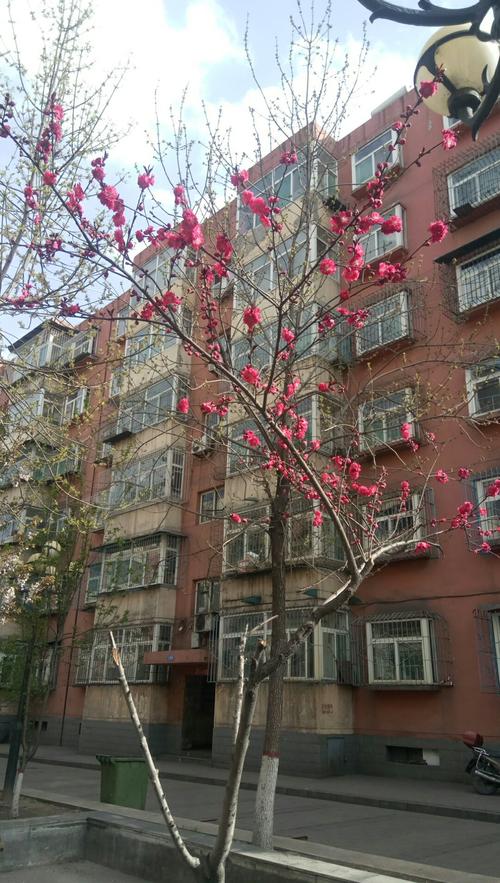孝义市城南为什么没水