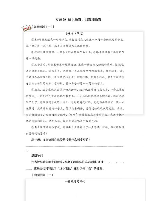 插叙通常可分为什么