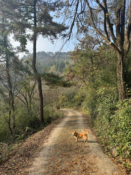 浒山路怎么样