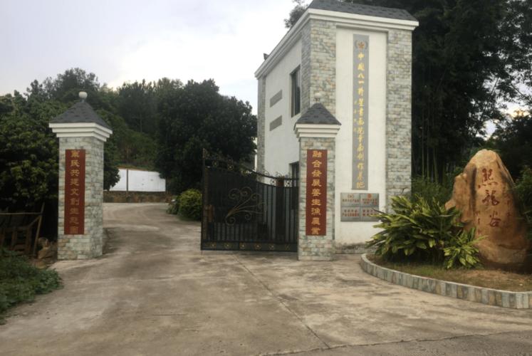 怎么去城康村