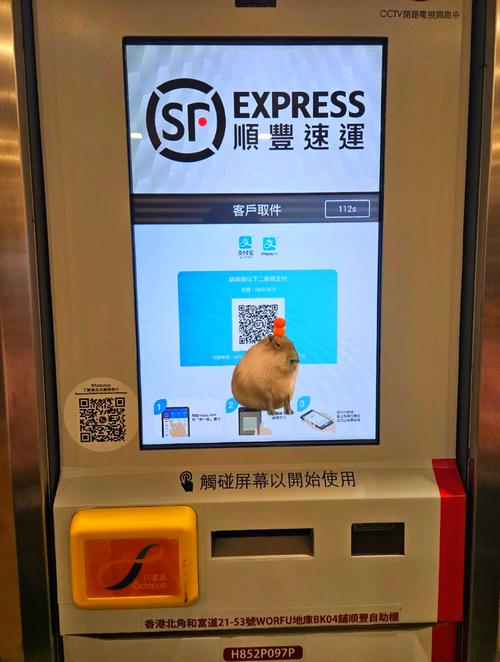 香港快递地址怎么写