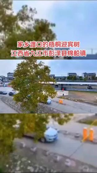 江西为什么不把棉船卖了