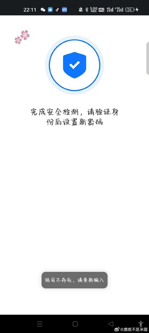 速尔单号为什么查不了