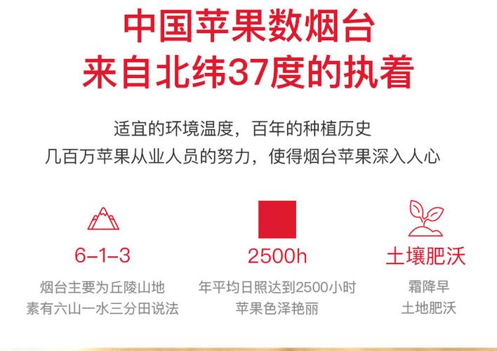 京东为什么没有烟台地址
