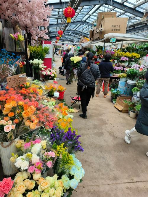 下关花鸟市场为什么搬