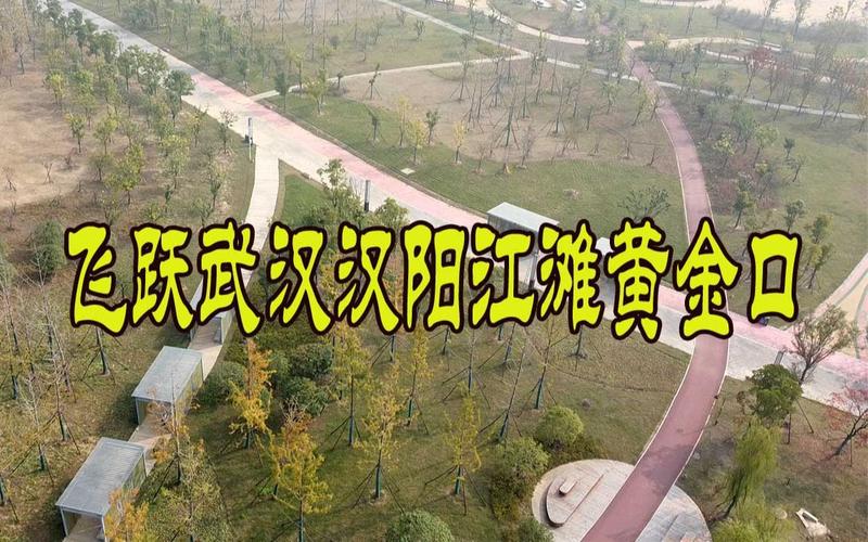 汉阳黄金口怎么坐车