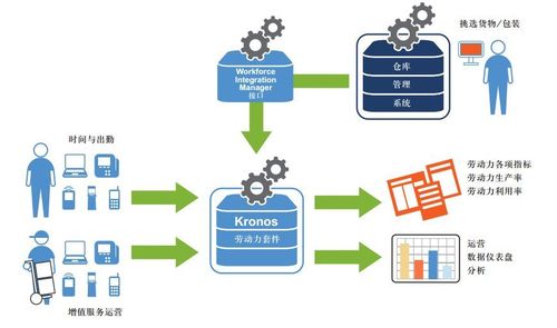 中铁物流集团信息管理系统
