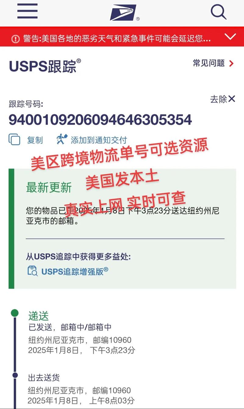 fexdex国际快递查询