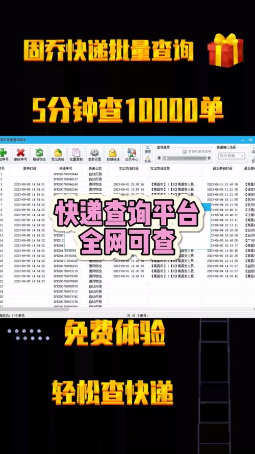 查询天天快递单号物流