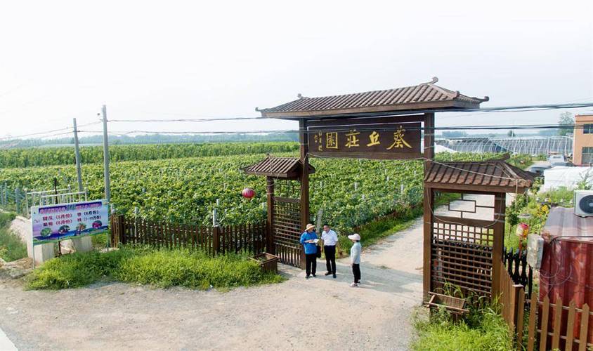 山东鄄城旧城镇信息