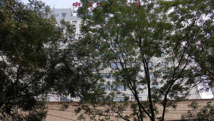 北京 中煤信息大厦