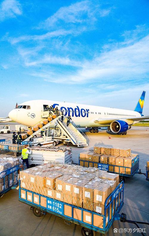 美国转运中国物流公司