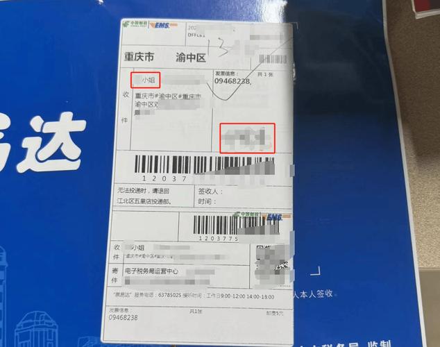 假快递物流信息制作