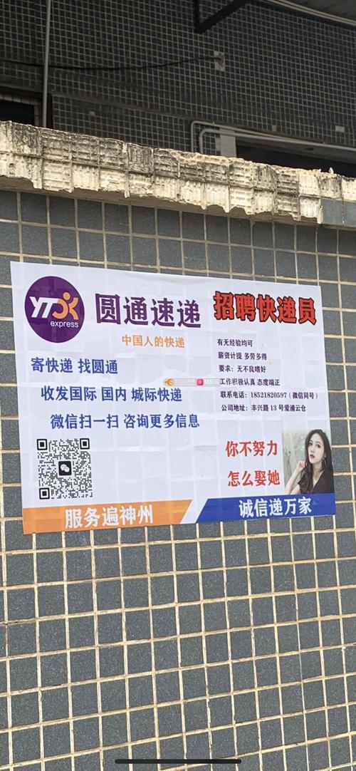 舒城圆通网招聘信息