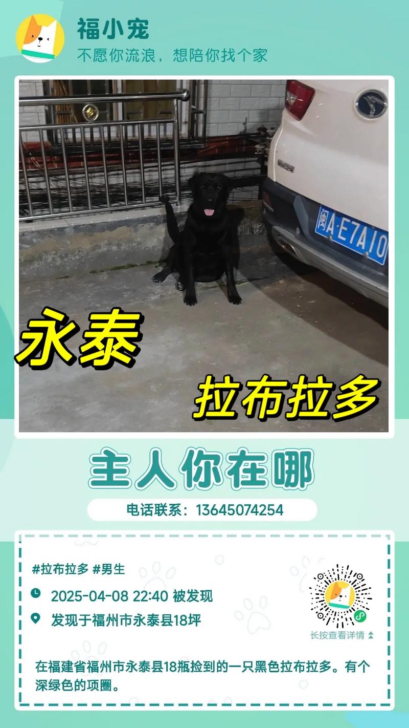 永泰十八坪招聘信息