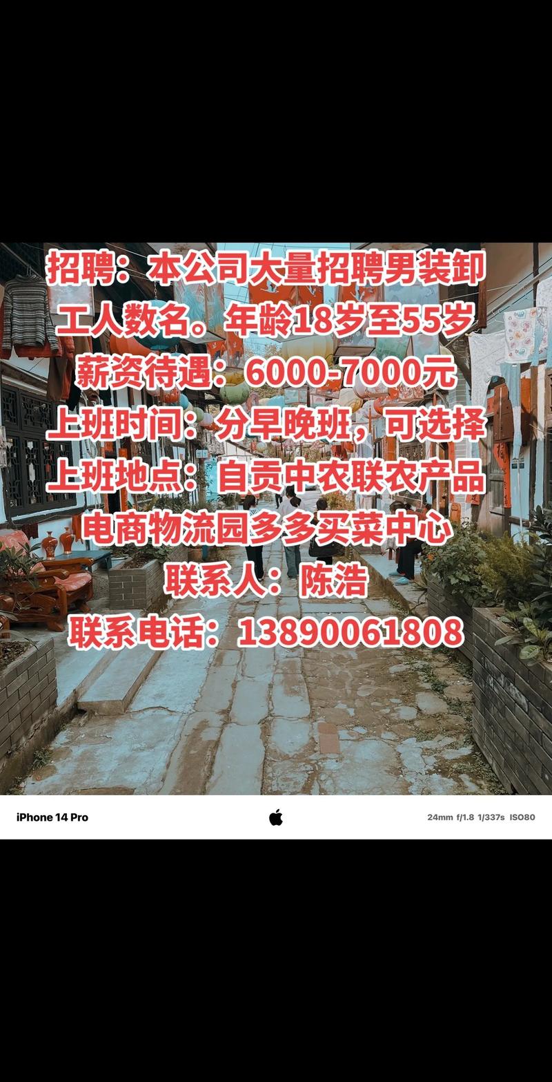 合肥合欢路招聘信息