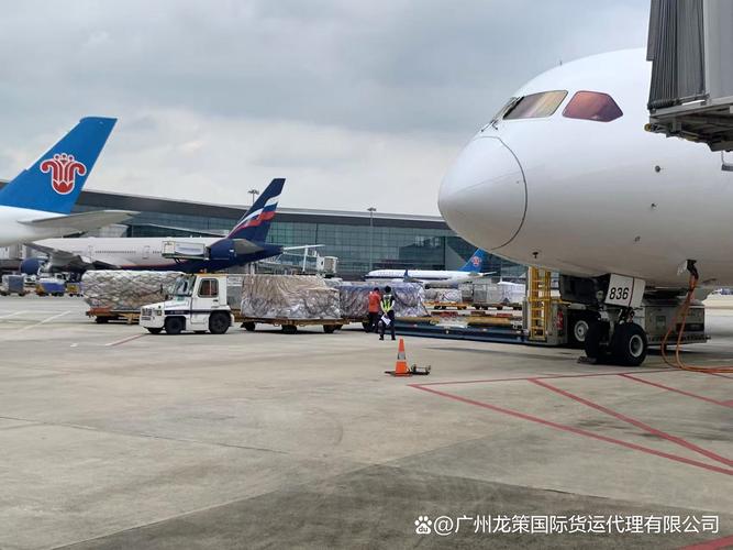 飞洋快递从美国到中国