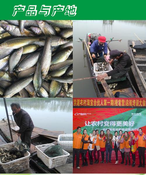 小河淡水巷物流信息