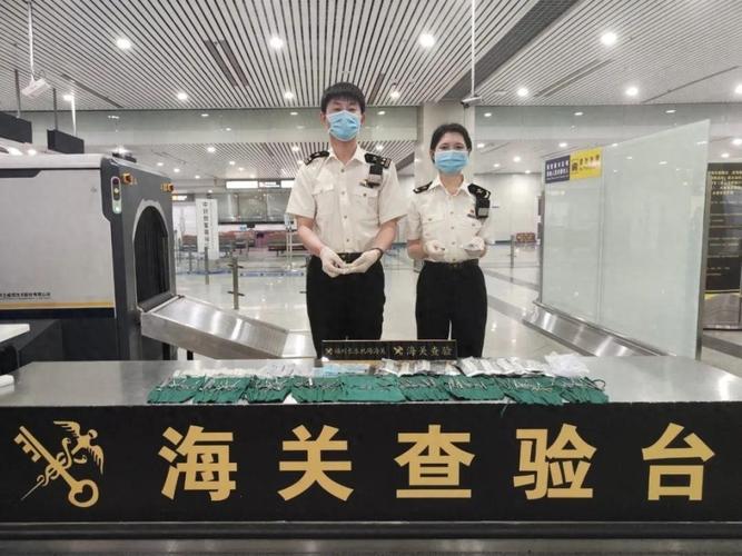 海关查货物信息查询