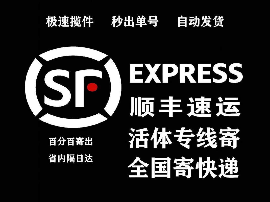 顺丰快递怎样加盟代理