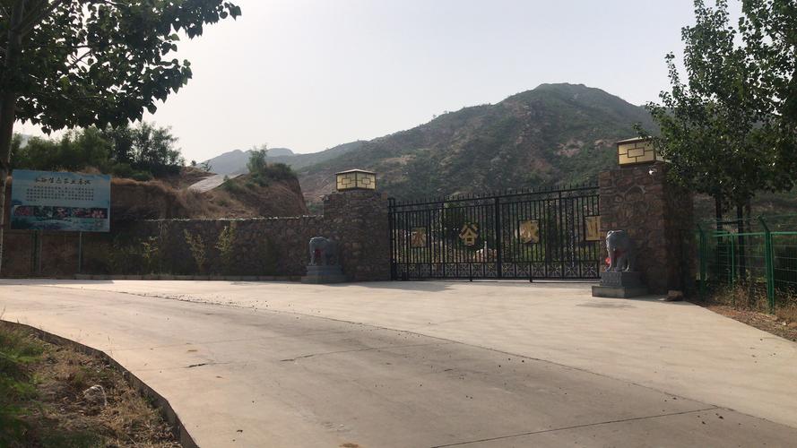 石家庄平山售卖信息