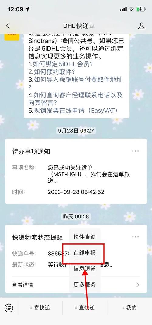 dhl进口报关信息