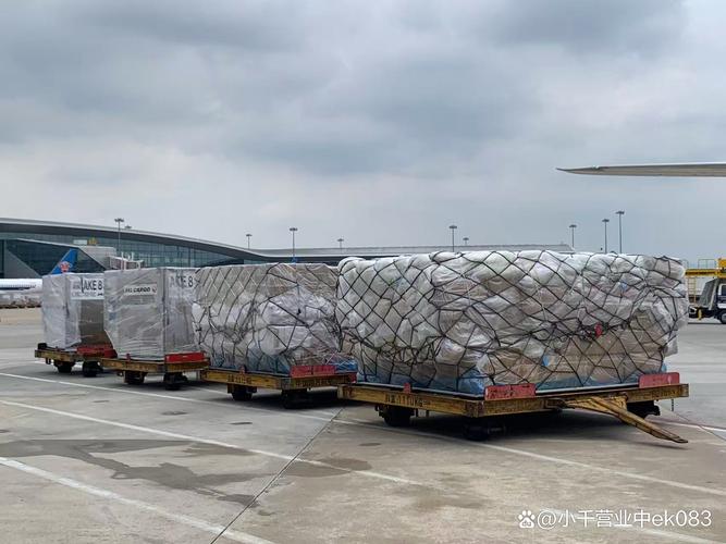 飞洋快递单号查询官网