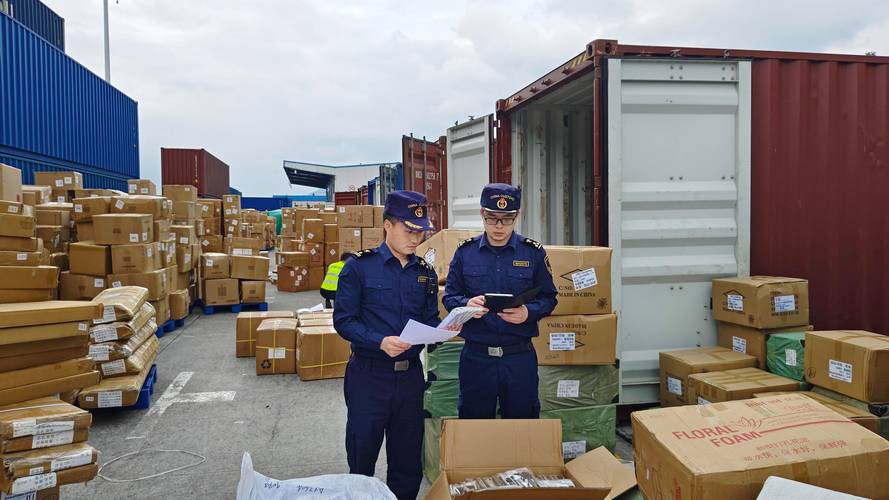 物流信息 送交海关