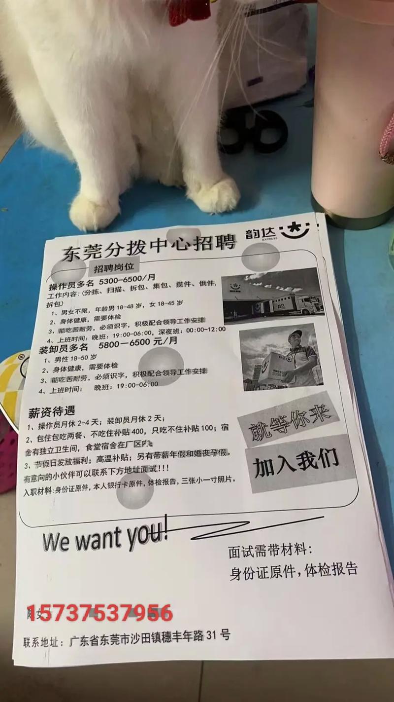 东莞南城韵达快递电话