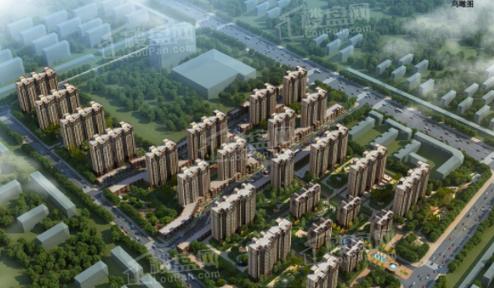 枣强泰和 楼盘信息