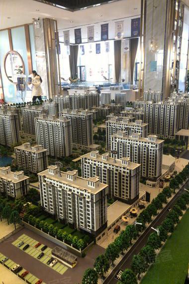 枣强泰和 楼盘信息