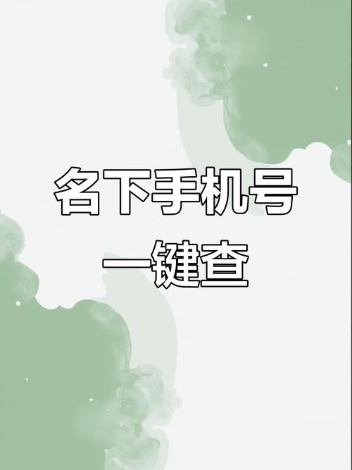 手机号详细信息查询