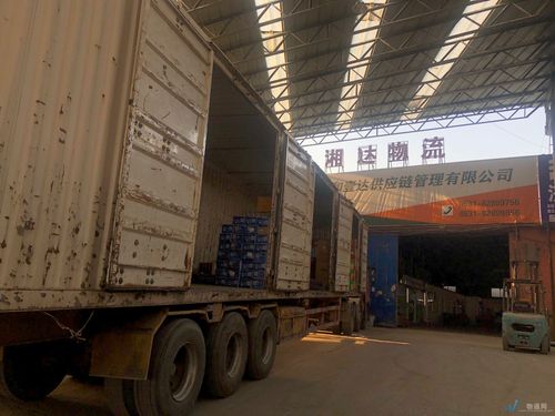 湘达物流托运单号查询