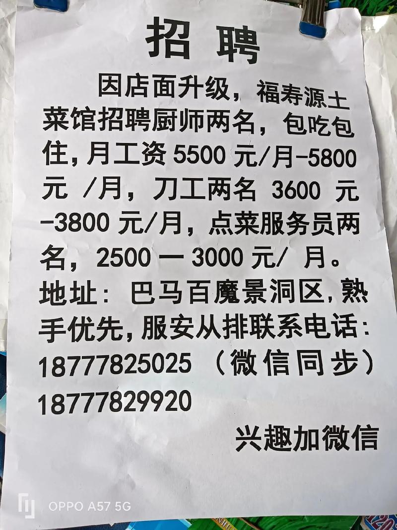 武清区天师招工信息