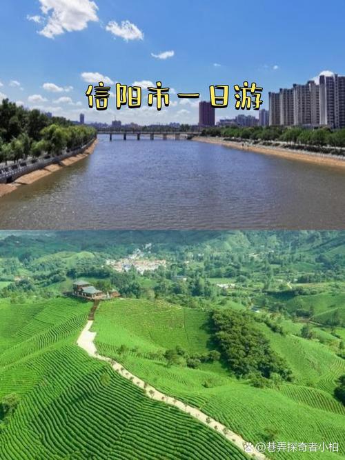 信阳市浉河区信息