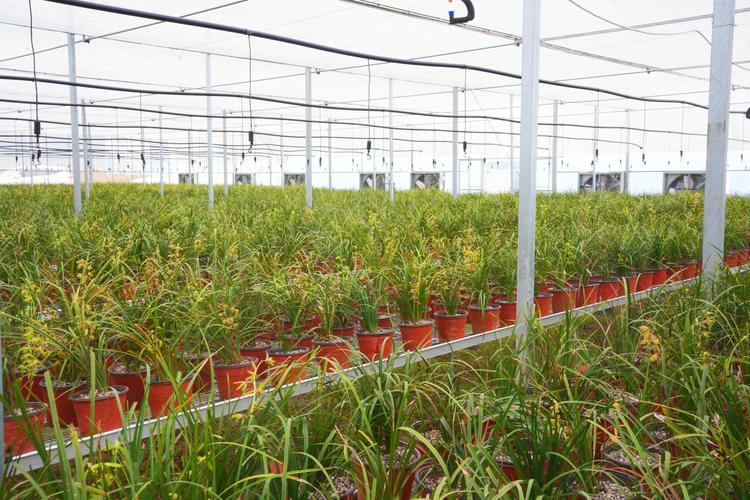 信阳市浉河区信息