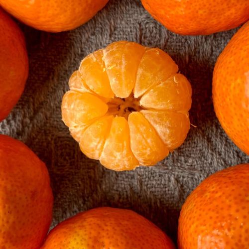 四会顺丰法人信息