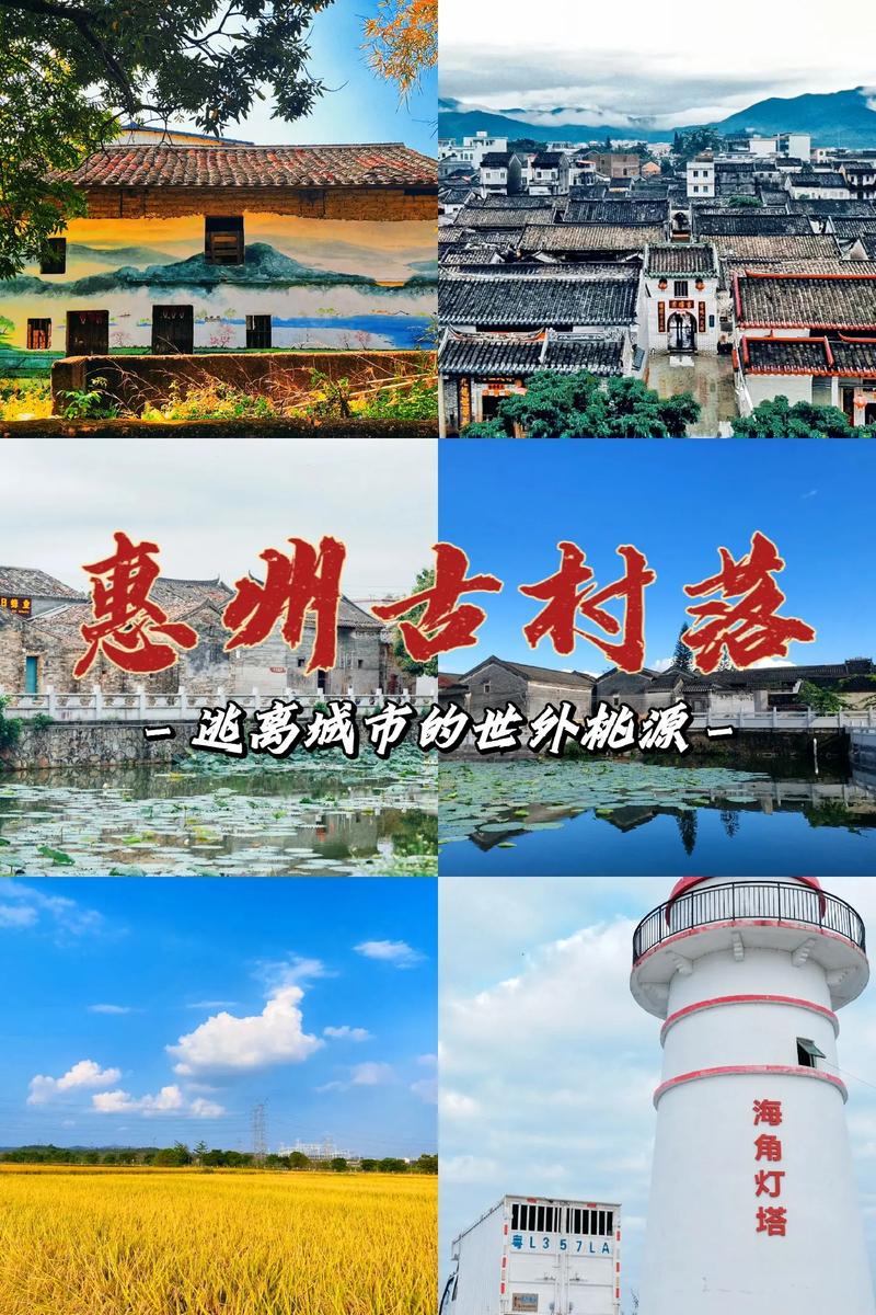 惠州市惠东县信息